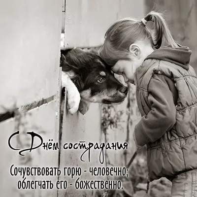 Всемирный день сострадания, или Всемирный день милосердия отмечается в мире  ежегодно 28 ноября. Инициатором.. | ВКонтакте