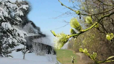 Встреча Зимы и Весны. :: Татьяна Помогалова – Социальная сеть ФотоКто