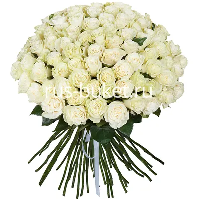 Букет из 101 белой розы Премиум Эквадор» - купить в Ульяновске за 31 840 руб