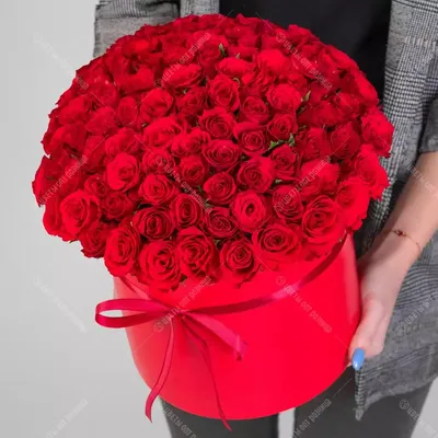 Букет из 101 красная роза кения в коробке купить в Барнауле | Розы недорого  оптом розница