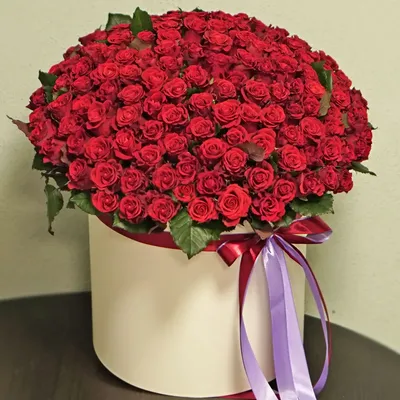 101 алую розу в шляпной коробке купить с доставкой в Киеве