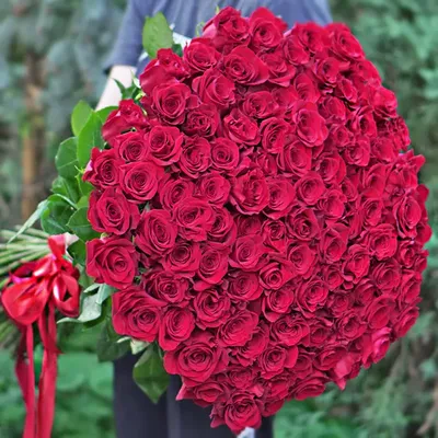 Букет 101 метровая красная голландская роза, доставка цветов, заказ