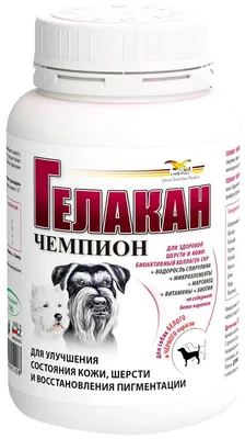 Раствор Фунгин форте для лечения лишая для собак и кошек – купить в Москве,  цены | Интернет-магазин Динозаврик