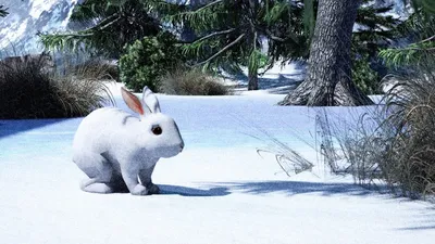 Картинки заяц зимой заяц летом (68 фото) » Картинки и статусы про  окружающий мир вокруг