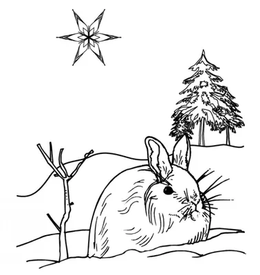 Мастер-класс по рисованию «Зайка скачет зимой в лесу» (7 фото).  Воспитателям детских садов, школьным учителям и педагогам - Маам.ру