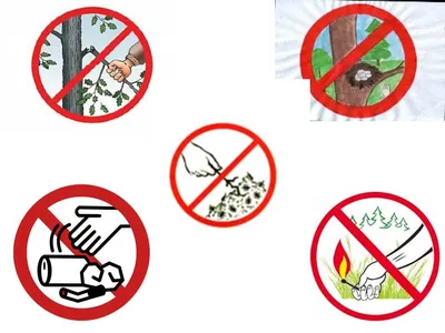 Экологические знаки для детей - фото и картинки: 56 штук