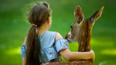 Защита животных «Платоша» в Одинцово. Группа единомышленников. | Odintsovo