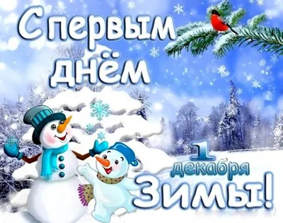 Открытие главной ёлки Волоколамского округа состоится в первый день зимы /  Новости / Администрация Волоколамского городского округа