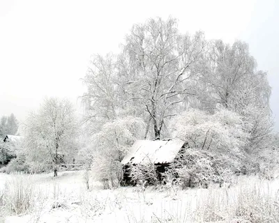 Завтра 1 день зимы ❄️ Наступает волшебное время ✨ которое, с появлением  малыша дома, возвращается Согласны? 🎄❤️ | Instagram