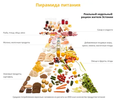 Роспотребнадзор: здоровое питание – просто, полезно и доступно - KP.RU