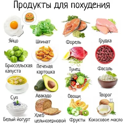 Здоровое питание - Информационные материалы - Здравоохранение - Волчанский  городской округ