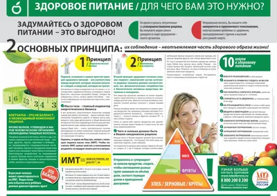 Здоровое питание - Гимназия №1 г. Челябинска - «Первая школа»