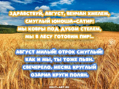 Здравствуй август 👋 . . Источник: https://vk.com/moimsk . . #московский  #московский3мкр #градмосковский #пмгп… | Instagram