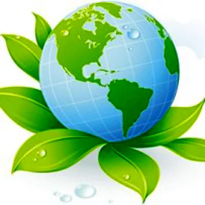 Книга \"Зеленая планета. Возобновляемые источники энергии\" Сандрин Дюма-Руа  - купить в Германии | BOOQUA.de