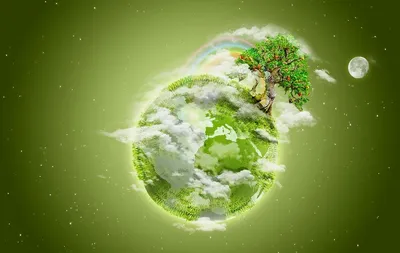 Межрегиональный конкурс «Зеленая планета» | КГБ ПОУ ХПЭТ