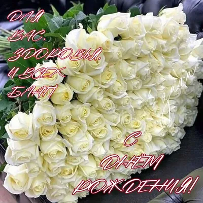 15 кустовых желтых роз с гринбелом | купить недорого | доставка по Москве и  области | Roza4u.ru