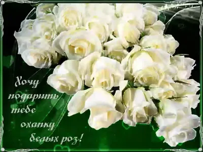 Открытка \"С Днём Рождения!\" желтый фон, белые розы, 19х29 см по оптовой  цене в Астане
