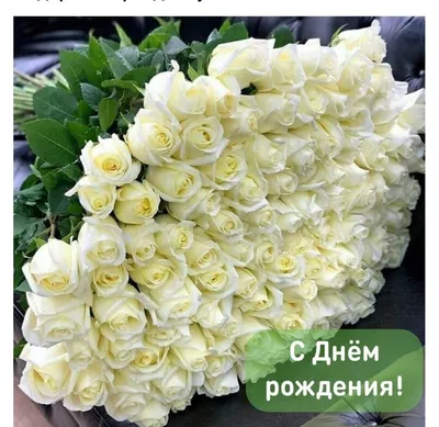 Белые розы с днем рождения - 73 фото