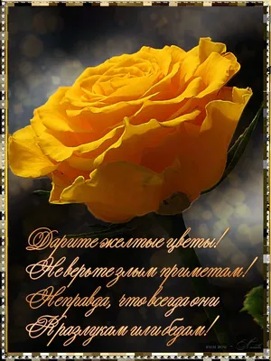 Открытки с желтыми розами с Днем Рождения (50 штук)