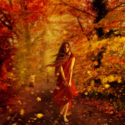 Бесплатное изображение: женщина, девушка, осень, листья, люди, природа