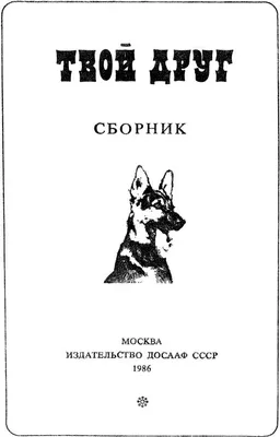 Книга Язык Жестов, как Читать Мысли Без Слов? 49 простых правил - купить в  Москве, цены на Мегамаркет