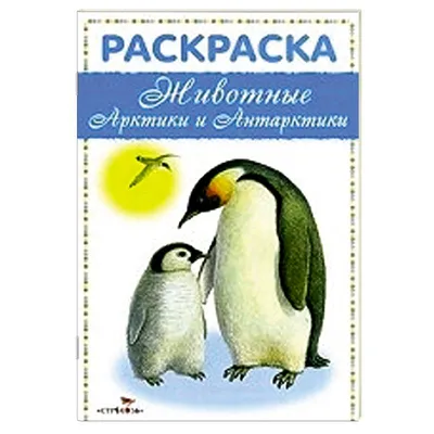 Набор Животные Арктики и Антарктики (id 83799412), купить в Казахстане,  цена на Satu.kz