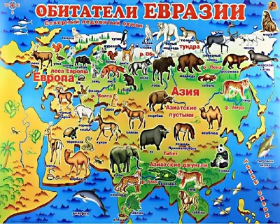 Обучающая книга \"Животные Евразии\", 20 страниц купить по цене 49 ₽ в  интернет-магазине KazanExpress