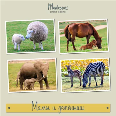 Домино \"Мама и малыш\" | mamadelkimamadelki