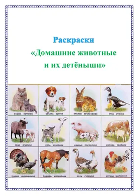 Набор магнитов \"Дикие животные и их детеныши\" купить в интернет-магазине  MegaToys24.ru недорого.