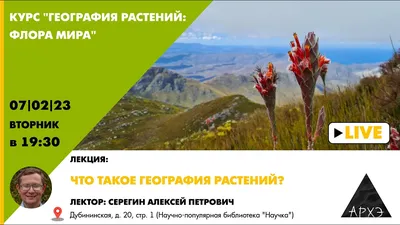 Энциклопедия \"Жизнь растений\". СЕМЕЙСТВО АРАЛИЕВЫЕ (ARALIACEAE)