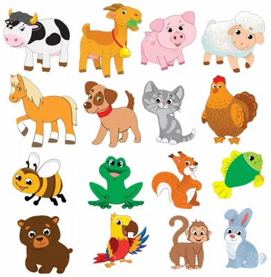 Карточки с животными, Картинки домашних животных, Животные зоопарка