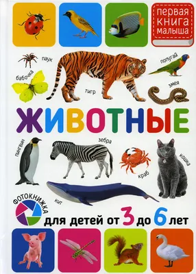 Knigi-janzen.de - Книжки с пазлами для малышей.Домашние животные. |  978-5-9567-2938-0 | Купить русские книги в интернет-магазине.