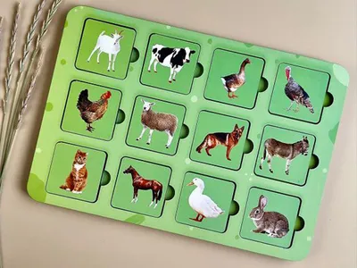 Развивающая магнитная игра \"Животные и их детеныши. Познаем мир\", игра мама  и малыши, где чей малыш, 60 фигурок животных - купить с доставкой по  выгодным ценам в интернет-магазине OZON (213246747)