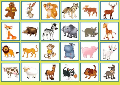 Владис Домашние животные. Развивающие карточки для детей (20 штук)