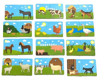 Картинки домашних животных | Картинки Detki.today