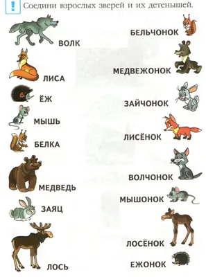 134 Бесплатных Картинок Животные для Обучения на Русском | PDF