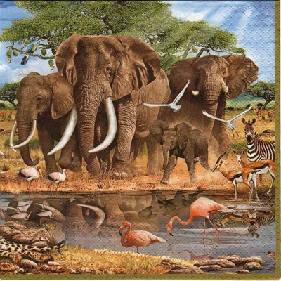 Африканские животные саванны с шаржем имен Иллюстрация вектора -  иллюстрации насчитывающей необжито, растительноядные: 61040010