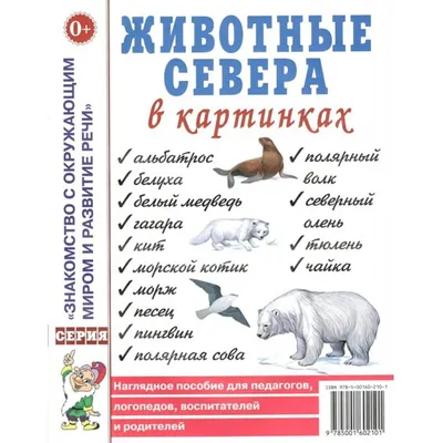 Набор Дикие животные севера, 6 штук Компания друзей JB0207198 - купить в  АШАН Супермаркет - СберМаркет, цена на Мегамаркет