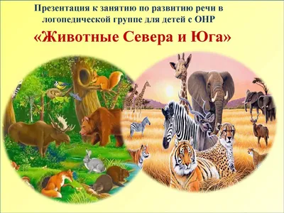 Поделка Животные севера №143471 - «Мир глазами детей!» (11.12.2023 - 03:11)
