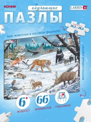 Редкие животные Сибири» — создано в Шедевруме