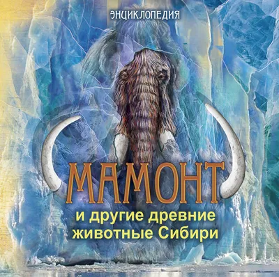 Животные Сибири — ареалы, статус в Красной книге, краткое описание и  фотографии