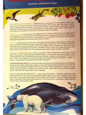 Группа в составе мустанги скача галопом в степи в России Стоковое  Изображение - изображение насчитывающей млекопитающее, группа: 155493835
