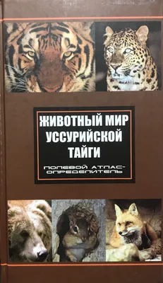 Иллюстрация 7 из 9 для Плакат \"Животные леса и тайги\" (2687) | Лабиринт -  книги. Источник: Елена