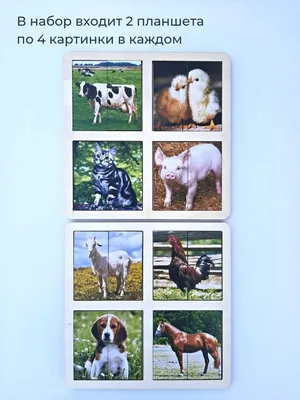 Картинки дикие животные и их детеныши - 69 фото