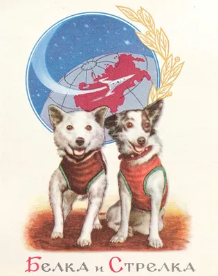 Первые собаки в космосе