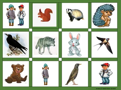 Картинки звери весной для детей в детском саду (70 фото) » Картинки и  статусы про окружающий мир вокруг