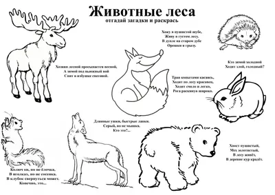 Животные для самых маленьких - Забирова Анна Викторовна - Издательство  Альфа-книга
