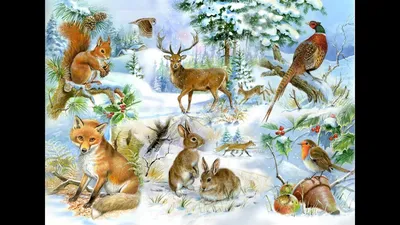 Животные зимнего леса - 75 фото