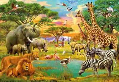 Купить MPZCAN20-M Collection ANIMALS. Животные Африки.200 деталей. Размер  20,5 х 29см. Средний размер детал Пазлы и 3Д пазлы - цена от 581 ₽ в Алуште