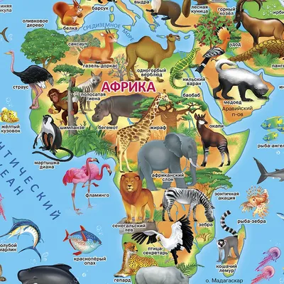 Онлайн пазл «Животные Африки»